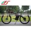 2015 hot selling 36V 250W bicycle with brushless hub motor, electric bike EAGLE(FJ-TDE01)