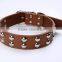 Factory Direct Sale Mushroom Nails Pet Collars Double Row Ornaments Dog Collar