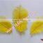 Wholesale Feather Natural Craft Yellow Ostrich Feather Bulk For Wedding Decorations