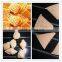 Fully Automatic 3D/2D Corn Snack Pellet Extruder Snack Machine