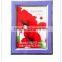 cheap colorful 8x10 blue pvc photo frame hot sexy girl picture frame