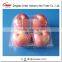 Disposable plastic Fruit Apple packaging container clemshell plastic boxes