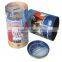 Popular Fashional Decorative Storage tin box