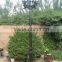 Cast iron Garden light 2015 New Design