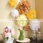 Party wedding pom poms tissue flower decoration