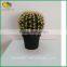 Artificial Plants Home Decoration Cactus Plants Artificial Cactus Plants
