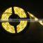 led strip light 5050 12V/24V flexible strip 30 leds per meter waterproof IP65 led strip 7.2W/M high quality 2 years warranty