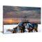 With Framed Elk and Deer Canvas Printed Painting Art for Livingroom Decor DWYS75