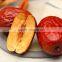 Chinese bulk organic red jujubes