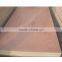 China EV Red Poplar Plywood With Cheap Price