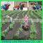 Chinese Cheap Corn Cultivator Ridging Machine