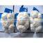 Fresh China garlic