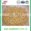 Blanched peanut price reference from shandong factory