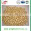 Blanched peanut price reference from shandong factory