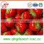 Bulk High quality chinese Fresh Strawberry