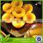 canned peach halves