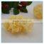 Chinese Wholesale Silver Ear White Fungus