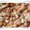 famous brand in china /popular food/ china frozen food mushroom