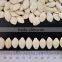 Hulled Shine Skin Pumpkin Seeds 9-11mm of 2016