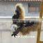 outdoor plastic wild animal model eagle toys
