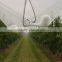 China Factory Plastic Anti Hail netting / Anti Hail Net