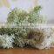 500 Gram A Box, fake flower decoration use artificial preserved moss