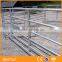 Galvanized PVC Coated Horse Rail Fence