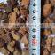 Expanded Clay Soil For Roof Garden,lightweight expanded clay aggregate