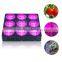 2017 Hot Selling Led Grow Light For Tomato