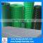 5x5 Galvanized Welded Wire Mesh For Buildings(Supplie)