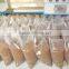 delicious dried mealworm for blue bird