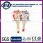 Small toy amusement hot sale wooden paddle