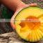 ST-2438 Stainless Steel Fruit Digging Spoon and Fruit Carving