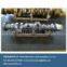 Crankshaft of diesel engine