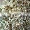 100% virgin material Plastic trellis net plant climbing support netting cucumber netting vine netting Pea & Bean