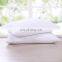 Natural  White Goose Down Feather Pillow Insert