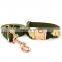 Eco-Friendly outdoor training military rose gold buckle polyester webing dog collar leash