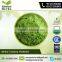 Health Beneficial Wheat Grass Powder for Bulk Buy
