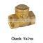 Brass Vertical Check Valve with SS spring