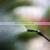 Multi Functional System Hose Heavy Duty Plastic Pump Nozzle Long Garden Spray Black