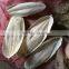 Wholesale bird feed pet cuttlebon toy cuttlefish-bone price