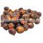Natural soap seeds from Vietnam