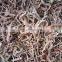 Sinocharm BRC-A approved IQF black fungus strips Frozen Black fungus