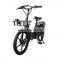 Lingstar electric bike/bicycle 250w36v10ah  lithium battery Affordable E-bike