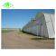 Best Selling 5 Years Warranty PO Film UV Stabilized Plastic Greenhouse Cover For Pertanian