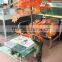 Beautiful artificial plant maple tree