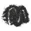 Apricot Shell GAC (Granular Activated Carbon) | Drinking Water Treatment & Chemical Purification
