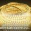 IP65 Waterproof LED StripDC 12V LED Strip3528SMD Fiexble Light