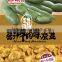 flavored broad bean snack food