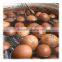Stewing mix spice bundle